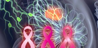 Unraveling the Microbial Symphony: Flaxseed, Gut Microbiota and Mammary miRNAs in the Battle Against Breast Cancer