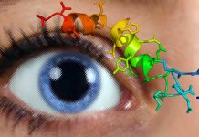 Unraveling the Complex Role of Orexin in Pupil Dilation and Arousal