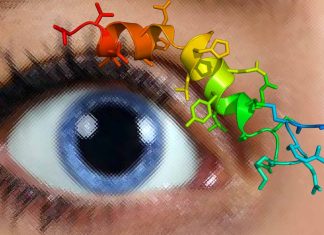 Unraveling the Complex Role of Orexin in Pupil Dilation and Arousal