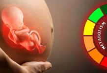Unveiling the Role of Insulin Resistance and Placental Hormones in Fetal Development and Maternal Metabolism