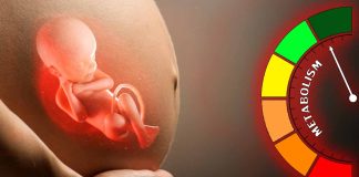 Unveiling the Role of Insulin Resistance and Placental Hormones in Fetal Development and Maternal Metabolism