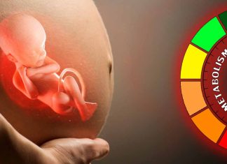 Unveiling the Role of Insulin Resistance and Placental Hormones in Fetal Development and Maternal Metabolism