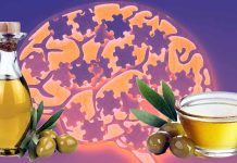 Identificazione di potenziali agenti terapeutici per la malattia di Alzheimer attraverso l’apprendimento automatico: esplorazione del ruolo dei fitochimici dell’olio extra vergine di oliva