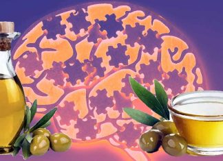 Identificazione di potenziali agenti terapeutici per la malattia di Alzheimer attraverso l’apprendimento automatico: esplorazione del ruolo dei fitochimici dell’olio extra vergine di oliva