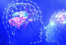 The Spatiotemporal Dynamics of Conscious Perception
