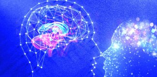 The Spatiotemporal Dynamics of Conscious Perception
