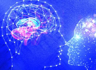 The Spatiotemporal Dynamics of Conscious Perception