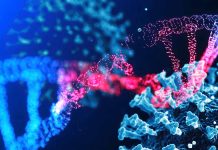 Exploring Nucleotide Sequence Complementarity between mRNA COVID-19 Vaccines and the Human Genome: Implications for Epigenetic Crosstalk