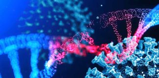 Exploring Nucleotide Sequence Complementarity between mRNA COVID-19 Vaccines and the Human Genome: Implications for Epigenetic Crosstalk
