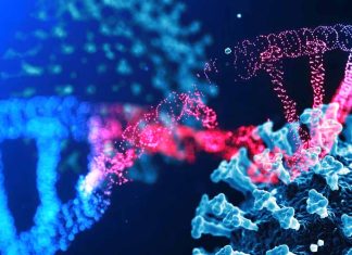Exploring Nucleotide Sequence Complementarity between mRNA COVID-19 Vaccines and the Human Genome: Implications for Epigenetic Crosstalk