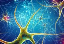 Astrocytes in Sleep Regulation: A Paradigm Shift in Understanding Sleep Homeostasis