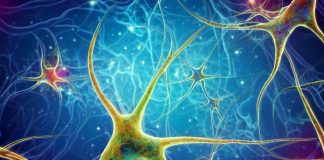 Astrocytes in Sleep Regulation: A Paradigm Shift in Understanding Sleep Homeostasis