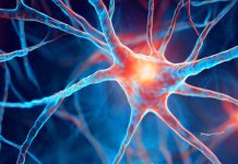Link Between Childhood Stress, Glucocorticoids, and Mental Health: A Novel Role for Astrocytic Phagocytosis