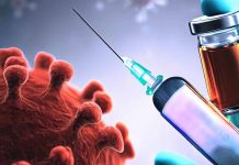 The Interplay of Autoimmune Hepatitis and COVID-19 Vaccines: A Comprehensive Analysis of AIH Pathogenesis and mRNA Vaccine Technology
