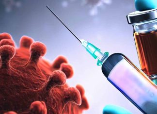 The Interplay of Autoimmune Hepatitis and COVID-19 Vaccines: A Comprehensive Analysis of AIH Pathogenesis and mRNA Vaccine Technology