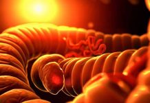 Unraveling the Intricacies of Colon Mechanosensation: A Step Closer to Understanding GI Physiology and Pathophysiology