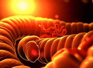 Unraveling the Intricacies of Colon Mechanosensation: A Step Closer to Understanding GI Physiology and Pathophysiology