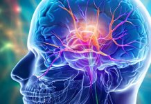 Cranial Nerve Involvement in COVID-19 Survivors