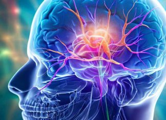 Cranial Nerve Involvement in COVID-19 Survivors