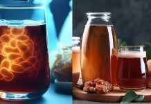 Il potenziale emergente di Kombucha nel controllo glicemico: una frontiera promettente per la cura del diabete