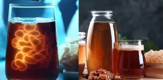 Il potenziale emergente di Kombucha nel controllo glicemico: una frontiera promettente per la cura del diabete