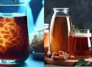Il potenziale emergente di Kombucha nel controllo glicemico: una frontiera promettente per la cura del diabete