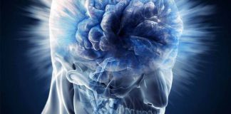 Exploring Chronic Traumatic Encephalopathy (CTE) in Young Athletes