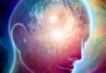Exploring Temporal Stability and Consciousness: A Novel Approach to Identifying Cognitive Motor Dissociation