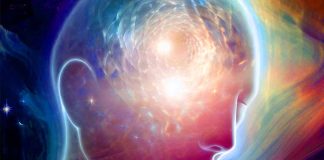 Exploring Temporal Stability and Consciousness: A Novel Approach to Identifying Cognitive Motor Dissociation