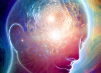 Exploring Temporal Stability and Consciousness: A Novel Approach to Identifying Cognitive Motor Dissociation