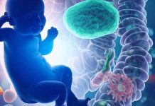 Exploring the Link Between Gut Microbiome and Infant Neurodevelopment