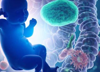 Exploring the Link Between Gut Microbiome and Infant Neurodevelopment