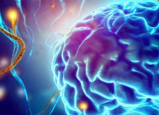 Unlocking the Potential of GABA-A Receptors: A Novel Approach to Treating Depressive Disorders