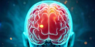 The Complex Interplay Between COVID-19 and Glioblastoma Multiforme: Unveiling Causal Links and Clinical Implications