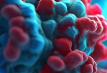 The Intricacies of Amyloidogenic Processing’s Impact on HIV-1 Replication and Implications for Neurological Disorders