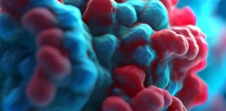 The Intricacies of Amyloidogenic Processing’s Impact on HIV-1 Replication and Implications for Neurological Disorders