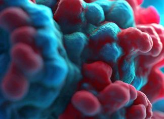 The Intricacies of Amyloidogenic Processing’s Impact on HIV-1 Replication and Implications for Neurological Disorders