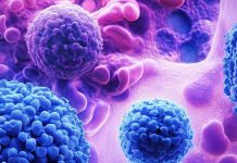 Impact of SARS-CoV-2 Infection on Multiple Tissues: Insights from Cell-free Chromatin Analysis