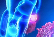 Harnessing the Potential of Metformin: Unraveling the STAT3-PTEN Nexus for Innovative Strategies Against Metastatic Prostate Cancer