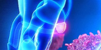 Harnessing the Potential of Metformin: Unraveling the STAT3-PTEN Nexus for Innovative Strategies Against Metastatic Prostate Cancer