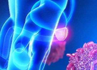 Harnessing the Potential of Metformin: Unraveling the STAT3-PTEN Nexus for Innovative Strategies Against Metastatic Prostate Cancer