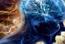 Unraveling the Neurobiological Basis of Impulsivity and Aggression: Insights from Sensitive Periods in Dopamine System Maturation