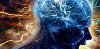 Unraveling the Neurobiological Basis of Impulsivity and Aggression: Insights from Sensitive Periods in Dopamine System Maturation