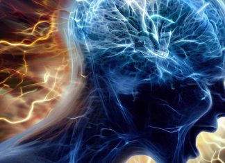 Unraveling the Neurobiological Basis of Impulsivity and Aggression: Insights from Sensitive Periods in Dopamine System Maturation