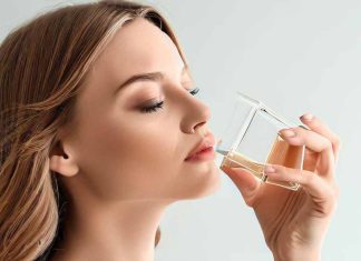 Correlati neurali delle preferenze olfattive: svelare le complessità della percezione dell’odore appetitivo