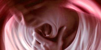 Esplorando la controversia che circonda i farmaci agonisti del recettore del GLP-1: Ozempic e Wegovy