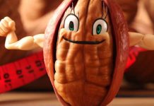 Affrontare la sindrome metabolica correlata all’obesità con i fenoli delle noci pecan: lo studio completo