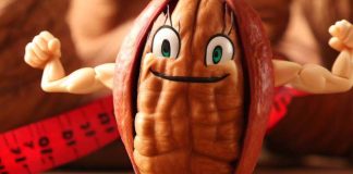Affrontare la sindrome metabolica correlata all’obesità con i fenoli delle noci pecan: lo studio completo