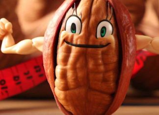 Affrontare la sindrome metabolica correlata all’obesità con i fenoli delle noci pecan: lo studio completo