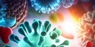 Potential Protective Effects of Vitamin K3 on SARS-CoV-2-Induced Inflammation and Cell Damage: A Promising Therapeutic Strategy for COVID-19